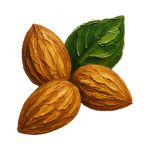 Návrh bez názvu (24)_1